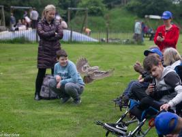 Kids enjoying the Falconry display